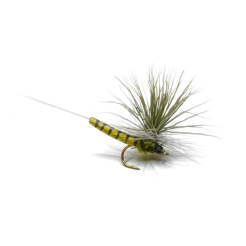 Vania | Elk Wing May Fly Olive