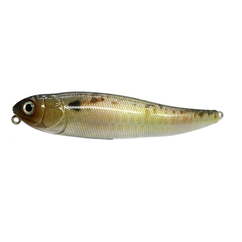 4 Sammy Walking Bait – Gizzard Shad