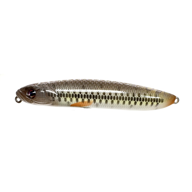 4 Walking Bait – Creek Chub
