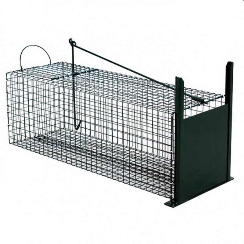 Kattefelle med tepinne